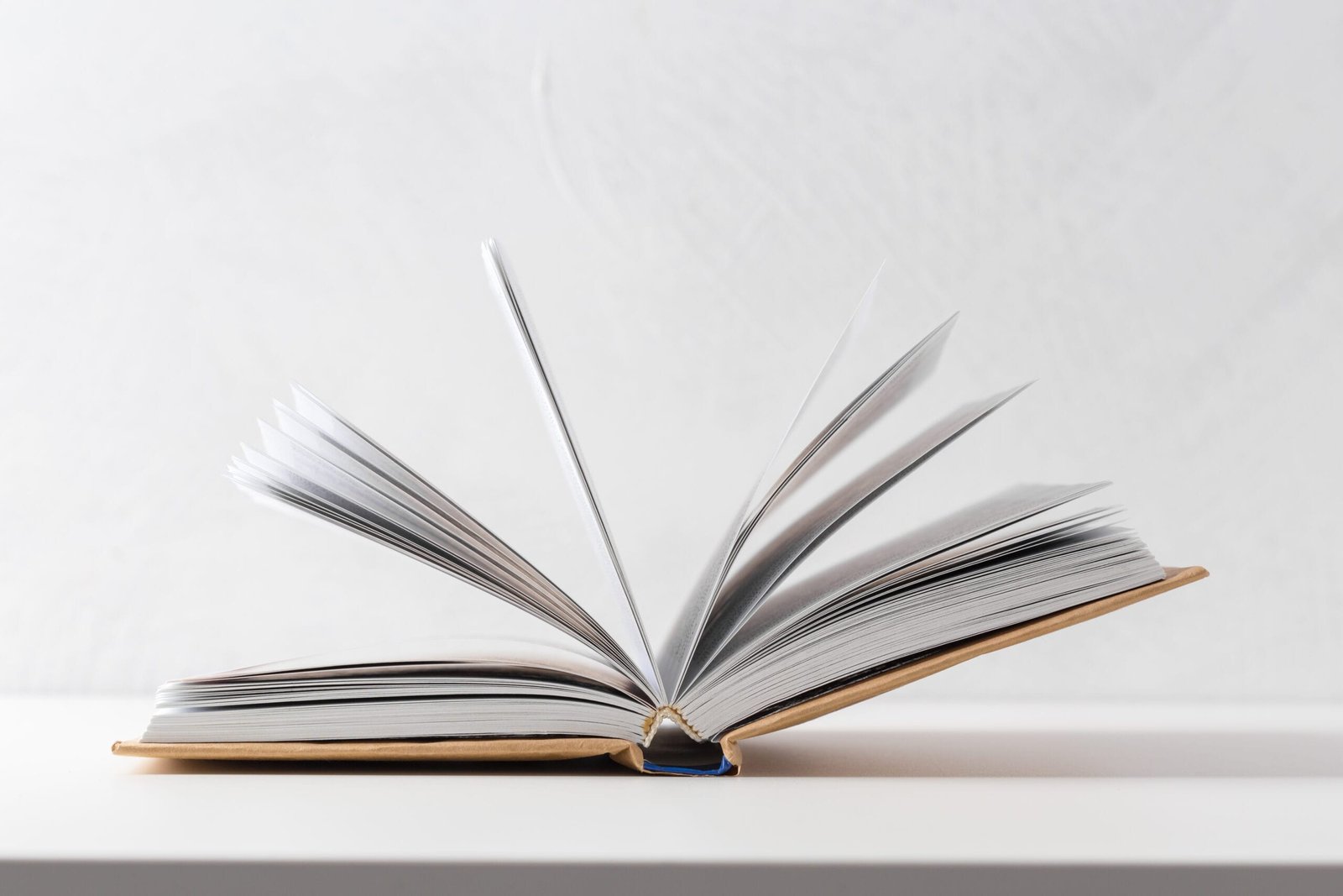 Read more about the article Beyond the Numbers: Why Narratives are so Important for Evidence-Based Decision-Making (#Leadership)